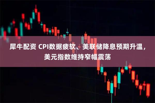 犀牛配资 CPI数据疲软、美联储降息预期升温，美元指数维持窄幅震荡